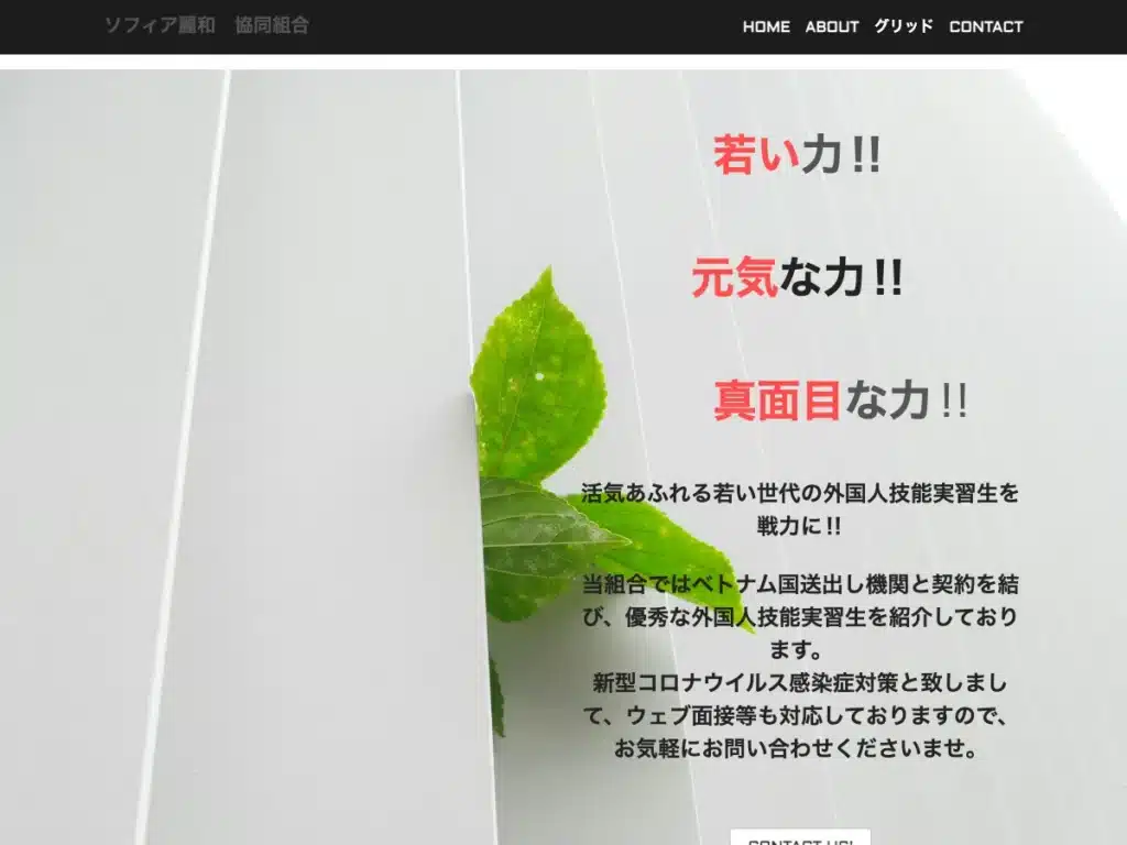 ソフィア麗和協同組合