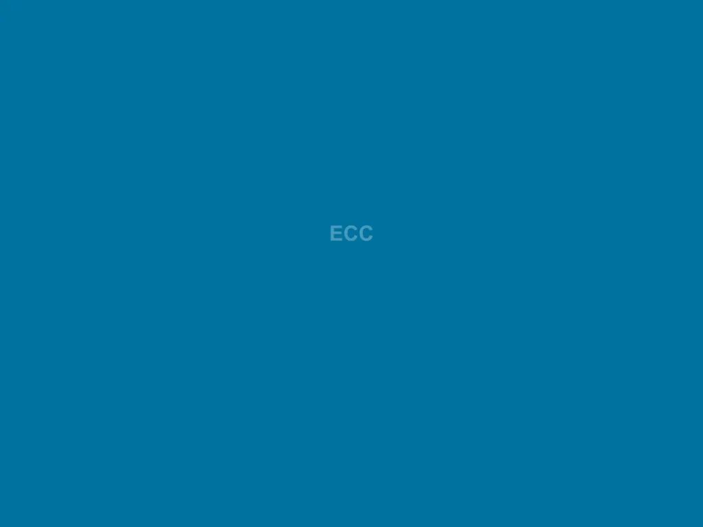 株式会社ＥＣＳ