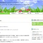 一般社団法人コネクトジャパン