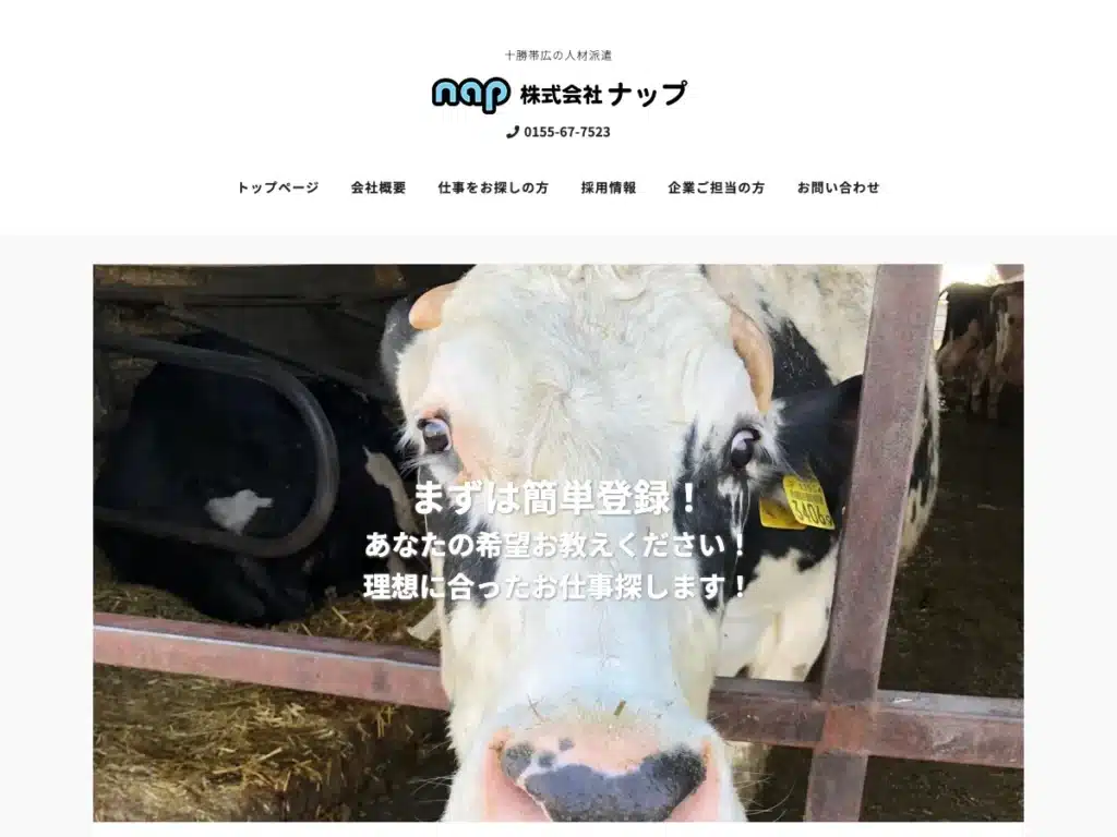 株式会社ナップ