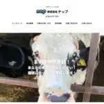 株式会社ナップ