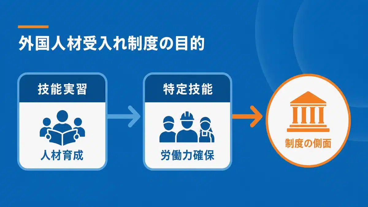 技能実習と特定技能の根本的な目的の違い