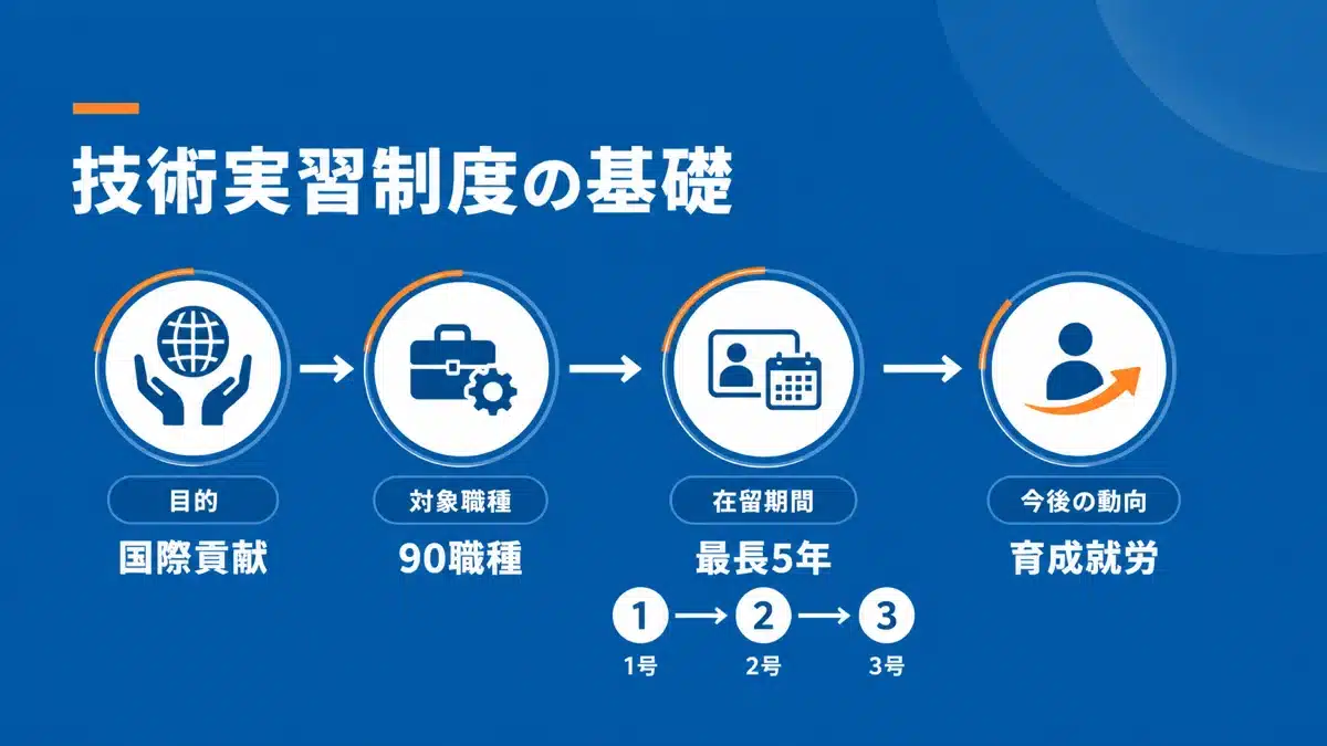 技能実習制度の基本概要