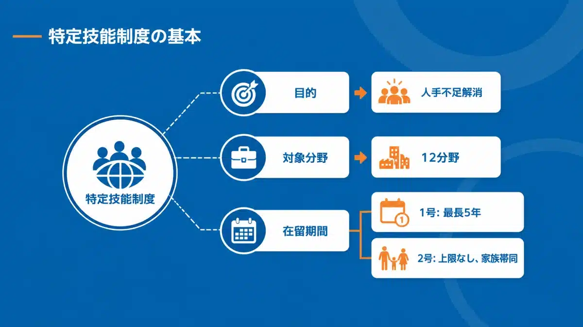 特定技能制度の基本概要