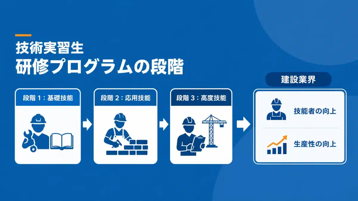 技能実習制度における2号の位置づけと目的