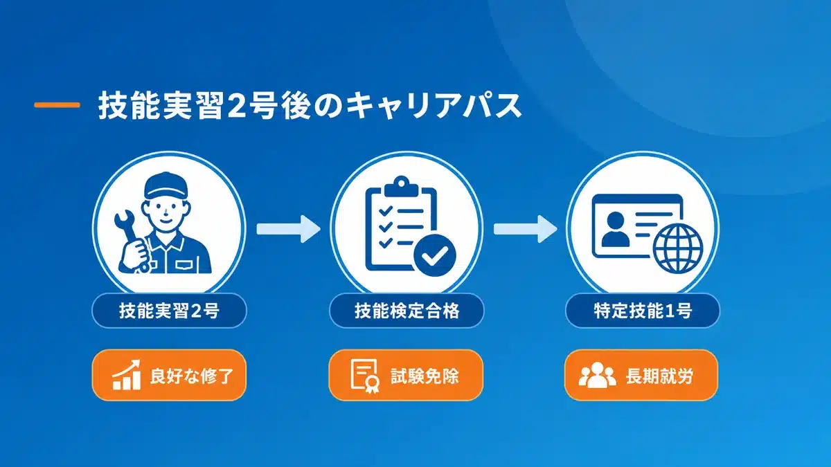 技能実習2号修了後のキャリアパス：特定技能1号への移行