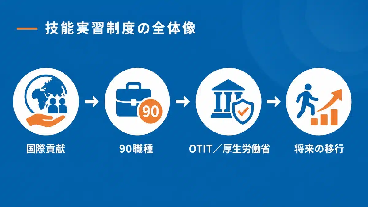 技能実習制度の概要と基本